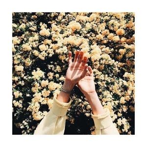 Meet your Posher, Abigail